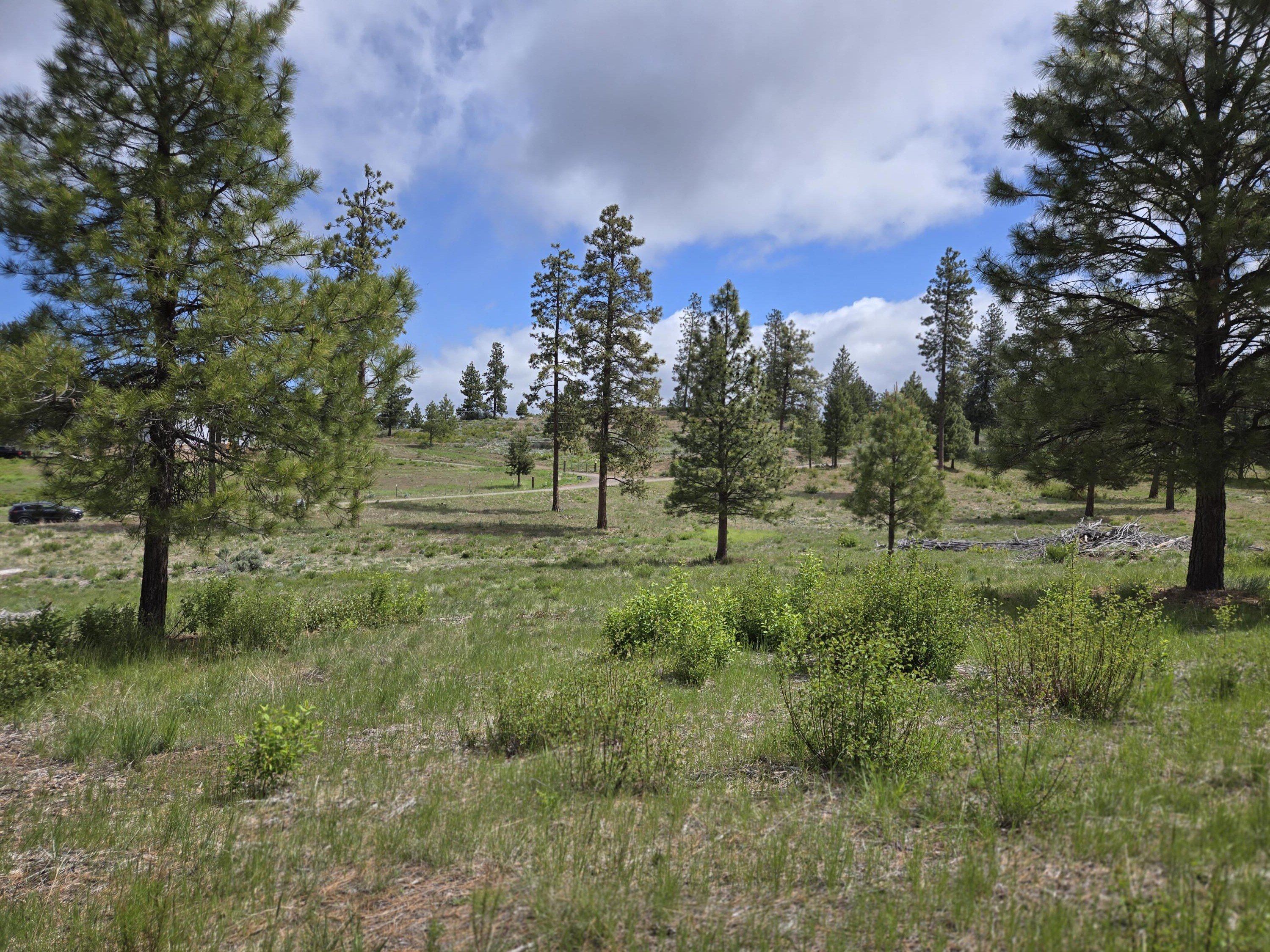 Chiloquin Land with Lake Views