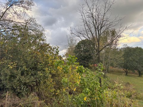 Unrestricted Land in New Market