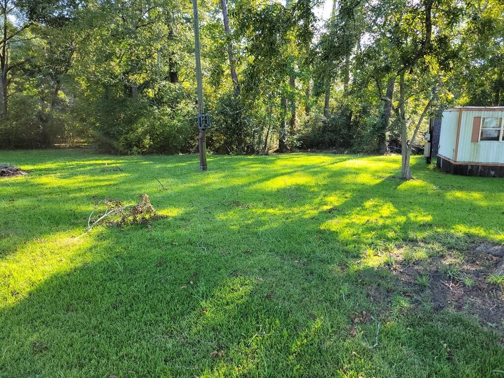 Picture 2