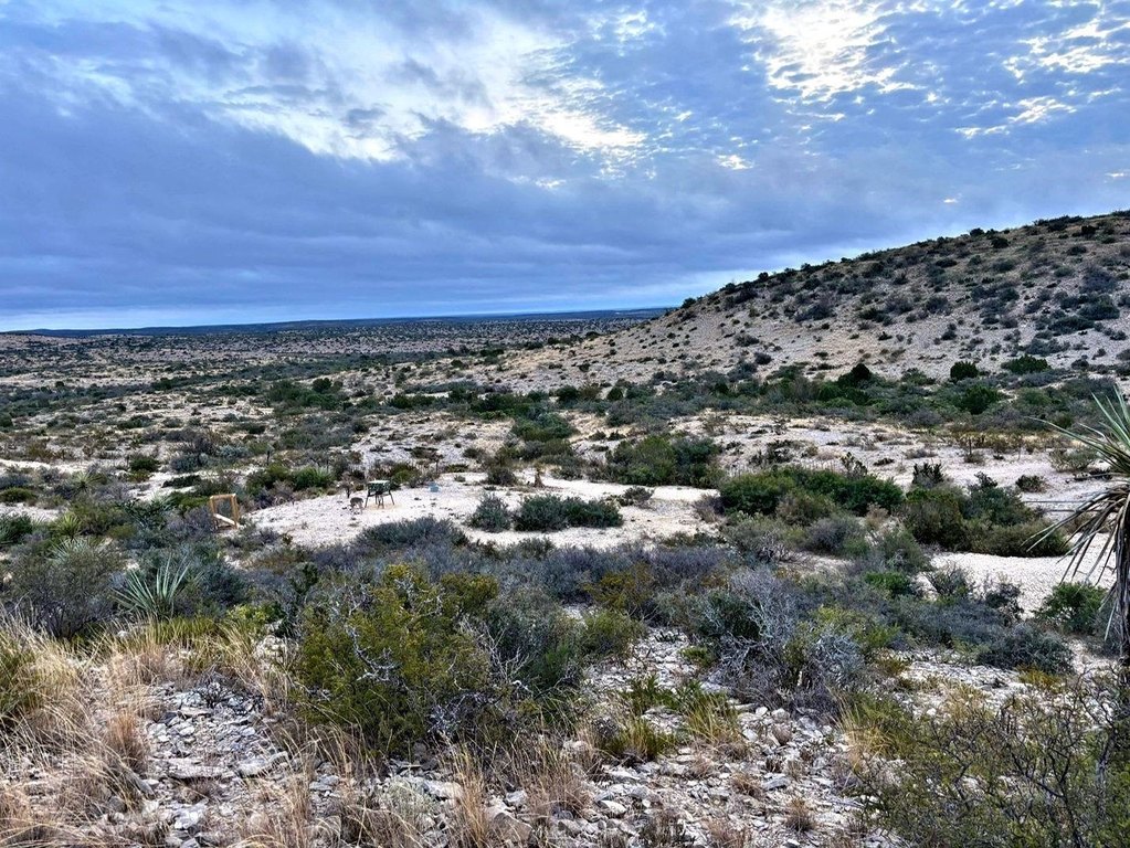 Picture 30