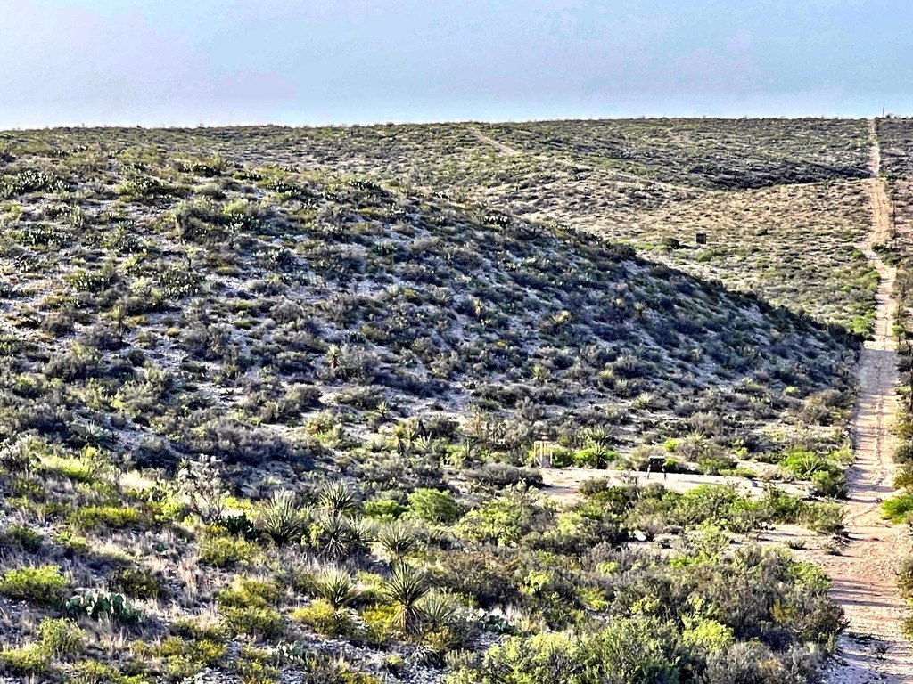 Picture 20