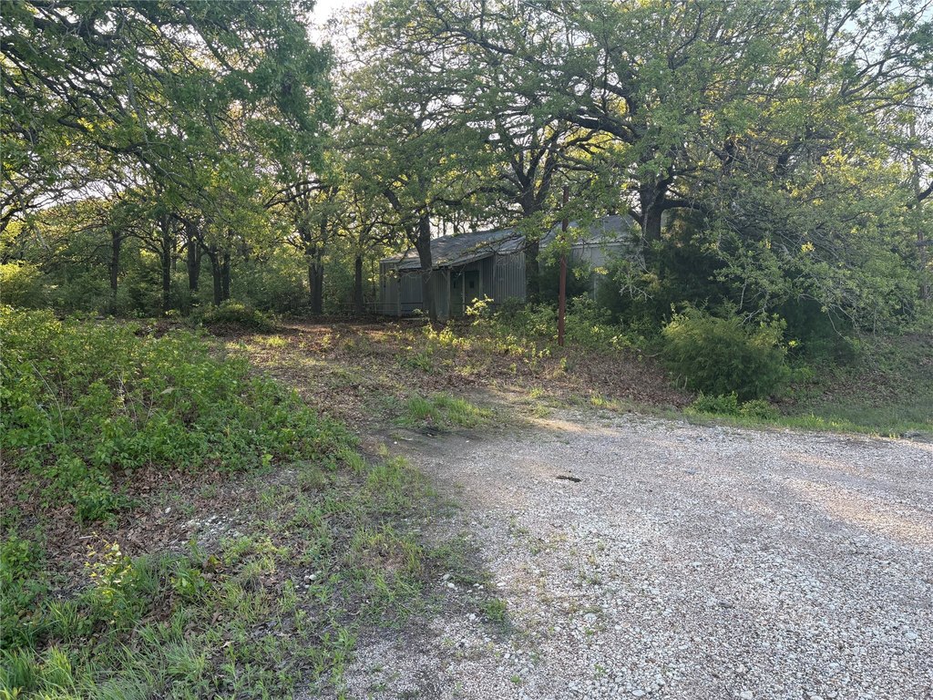 Picture 18