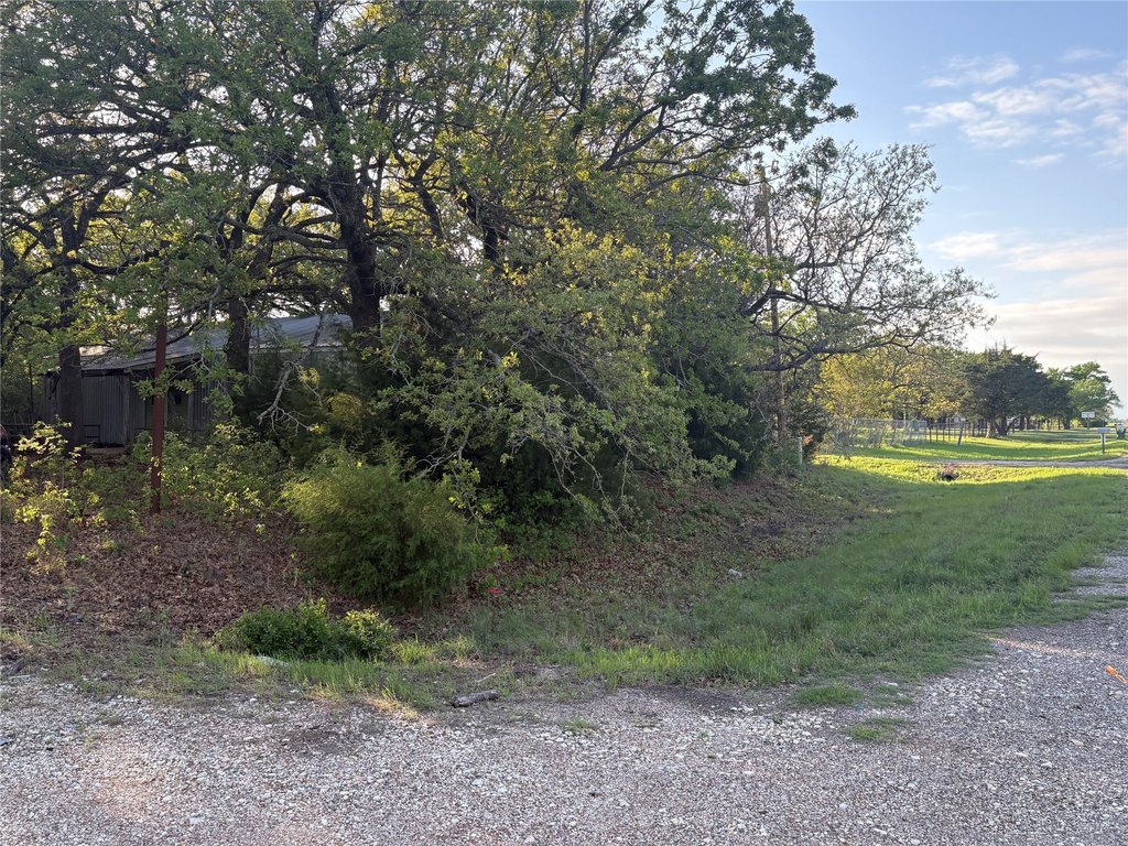 Picture 16