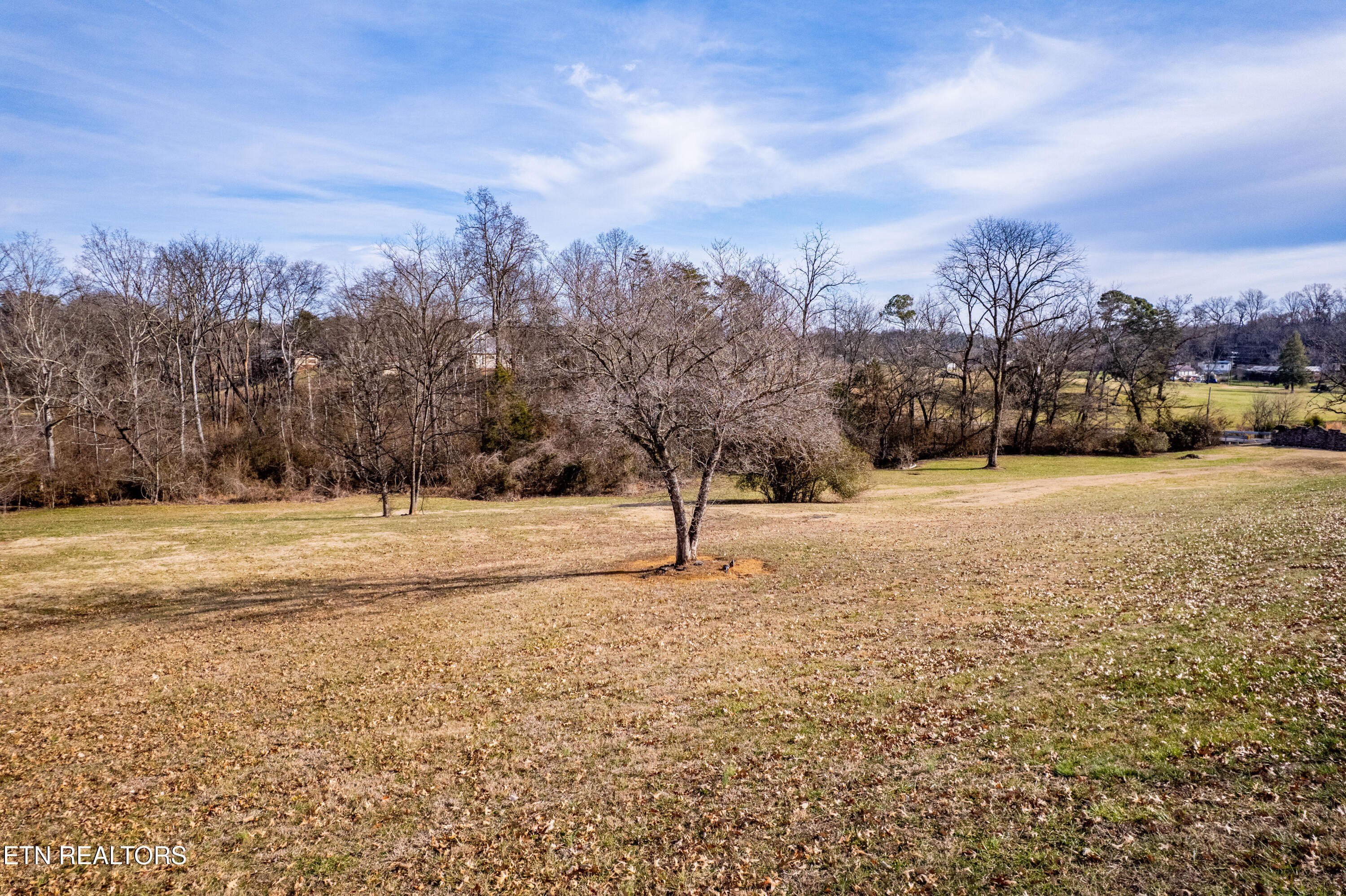 Greenback, TN Wooded Acreage