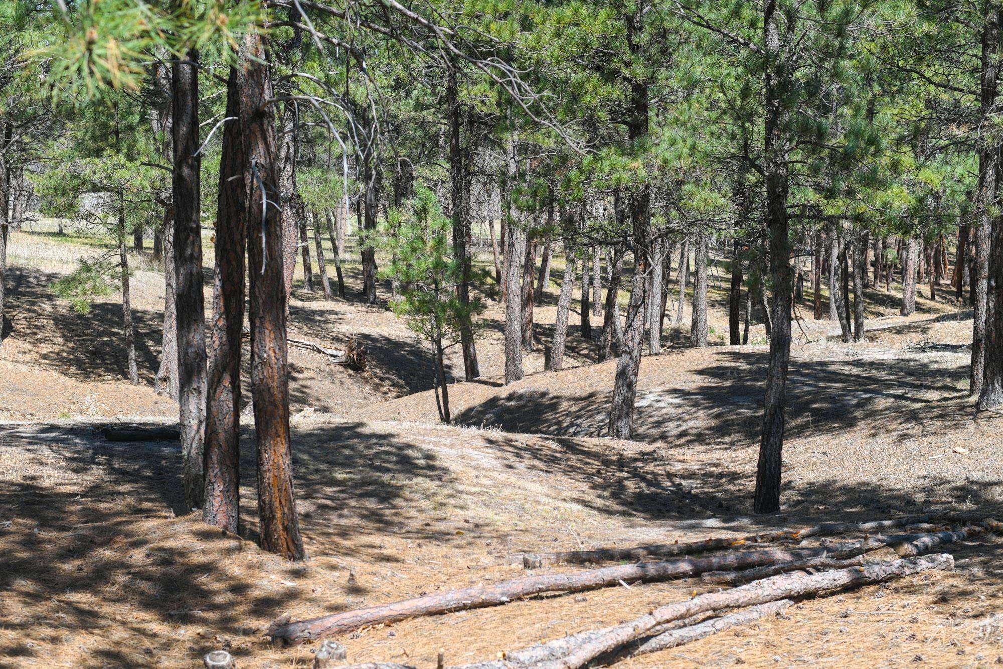 Residential Land in Belle Fourche