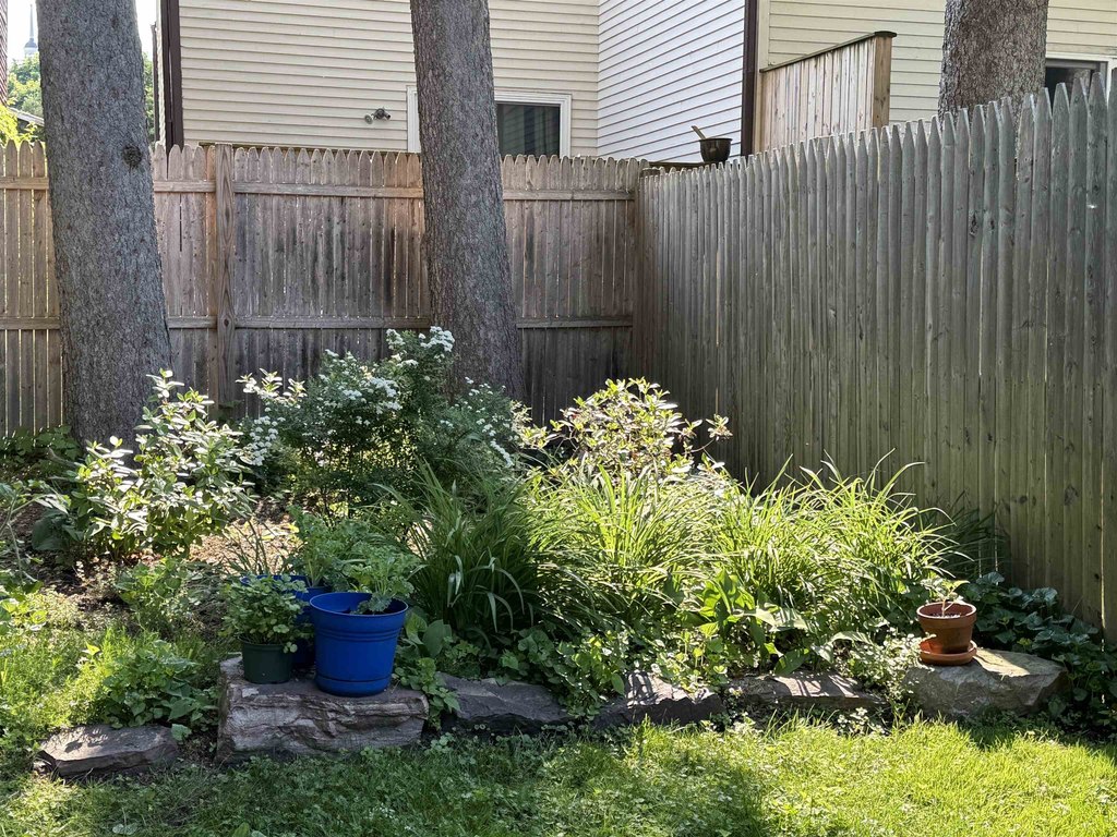 Picture 45