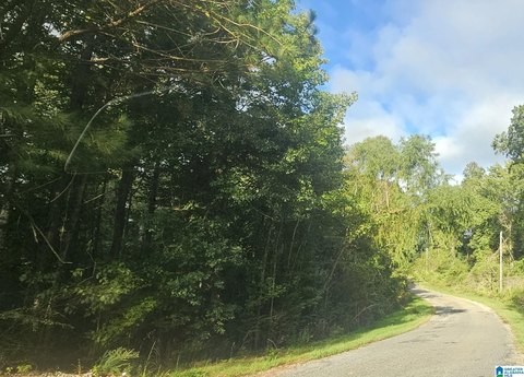 LAND/LOTS, VALLEY GRANDE, AL