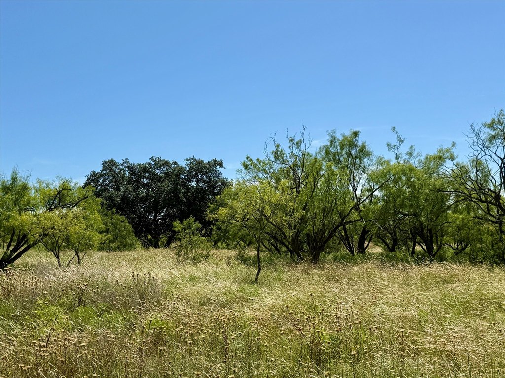 Picture 37