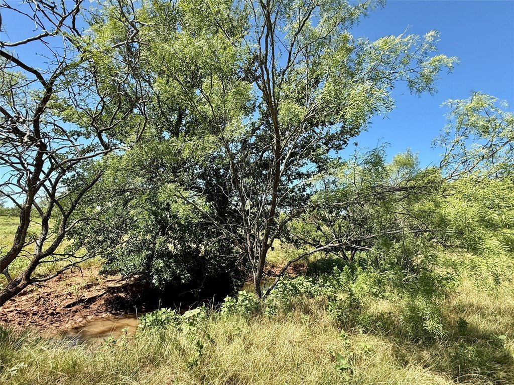Picture 25