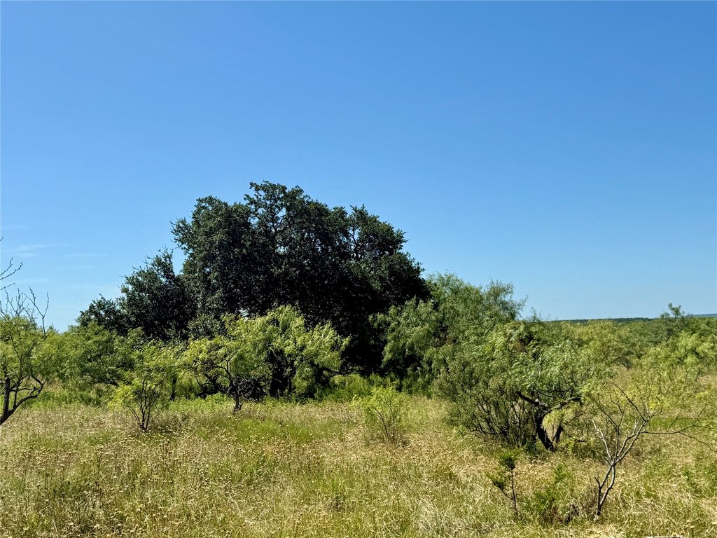Picture 40