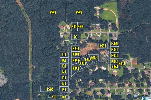 LAND/LOTS, PELL CITY, AL