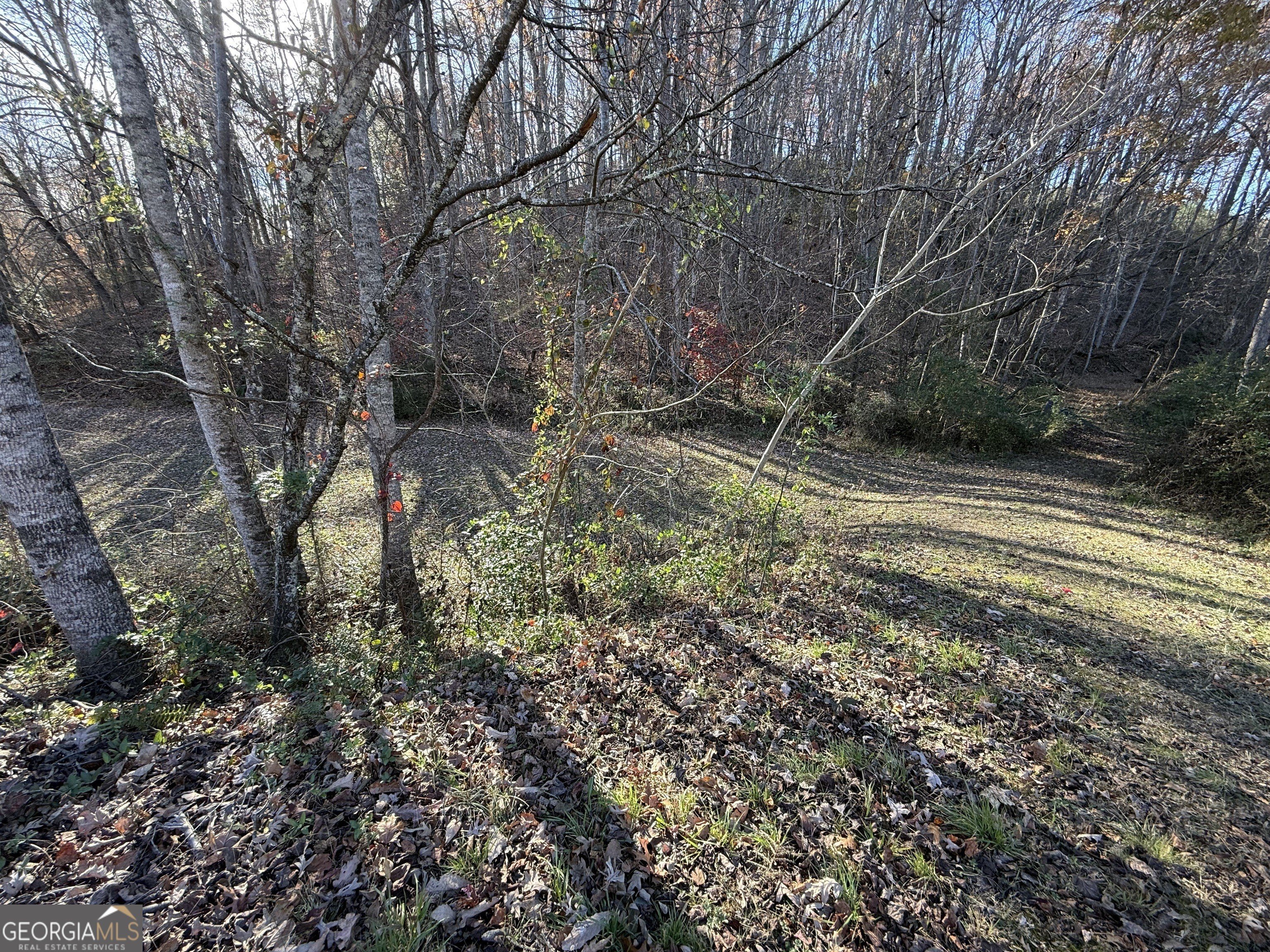 6.4 Acres in Cleveland, GA