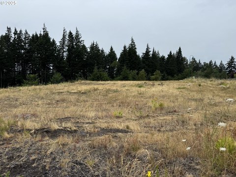Residential Land in Cascade Locks