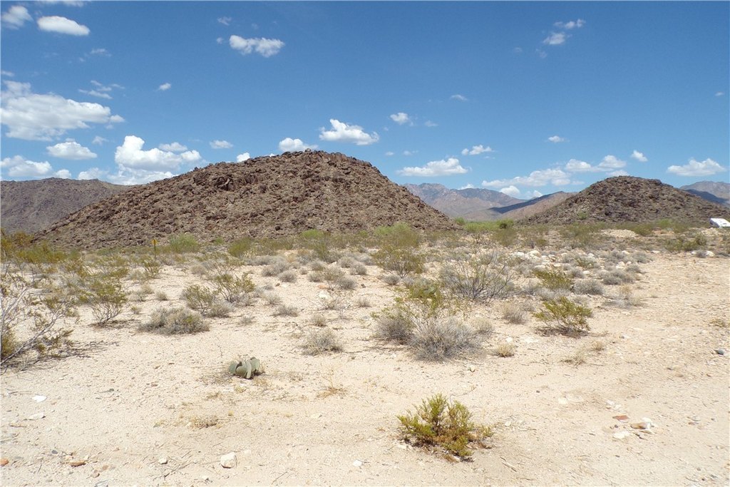 Picture 7