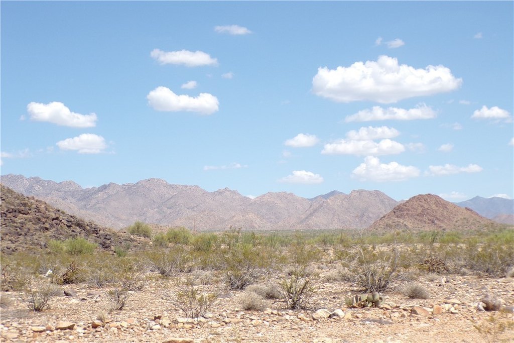 Picture 24