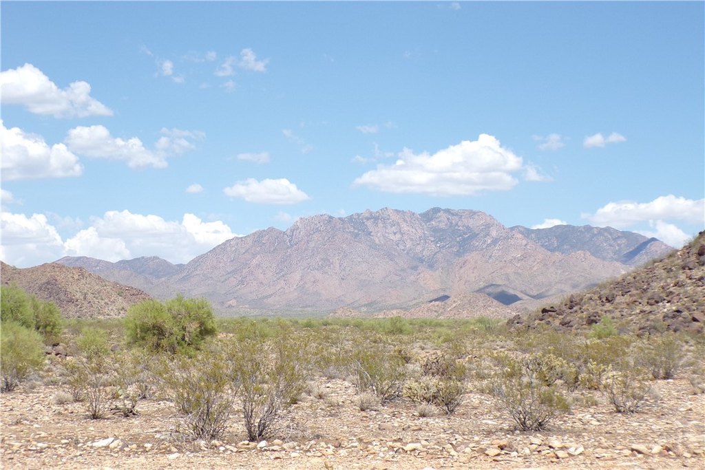 Picture 23