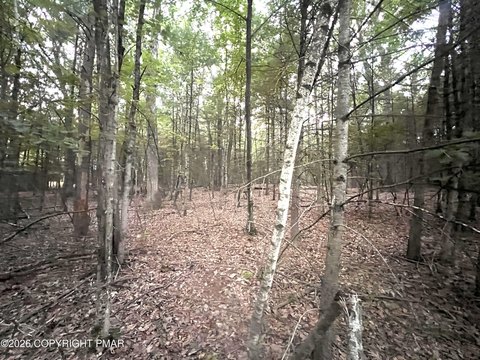 Commercial-Residential Development Land