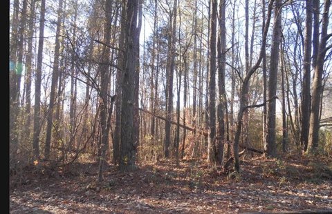Land, Bowdon, GA