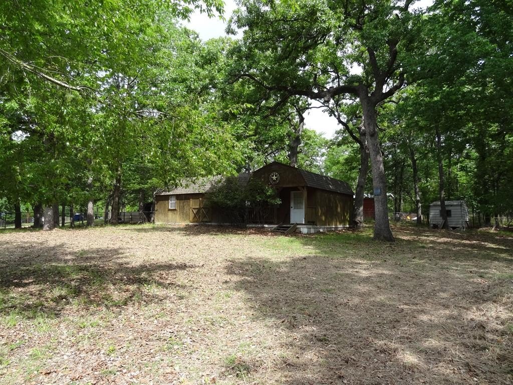 Picture 19