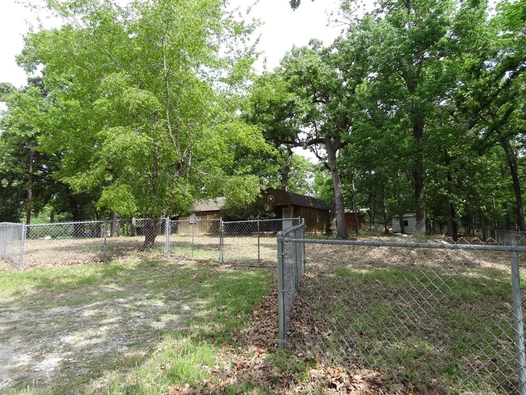 Picture 23