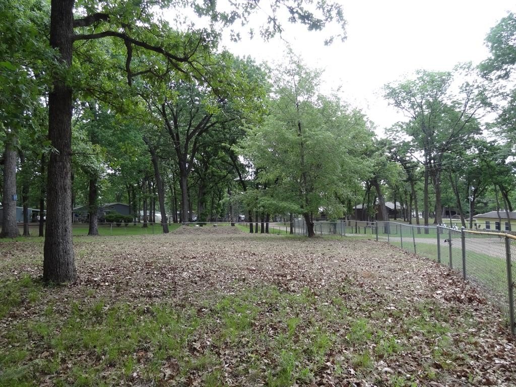Picture 21