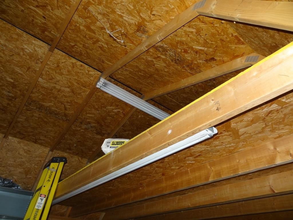 Picture 5