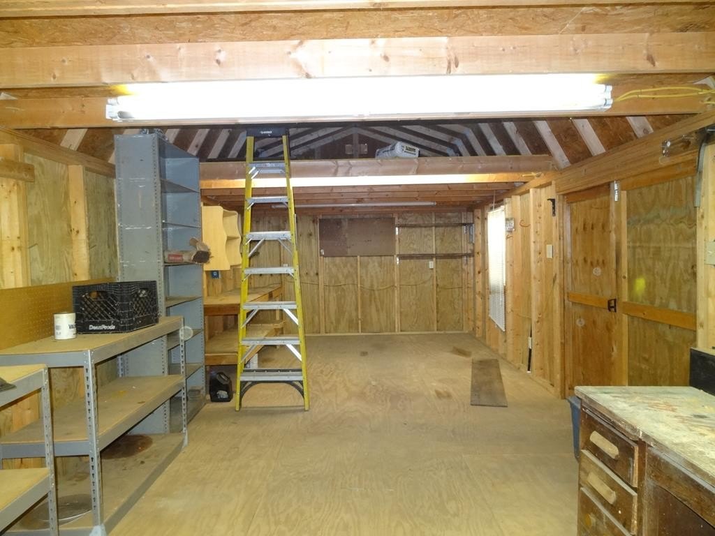 Picture 7