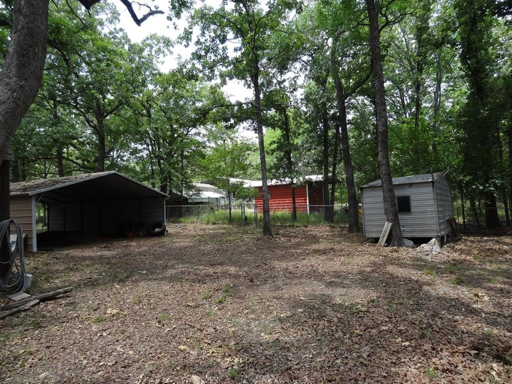 Picture 16