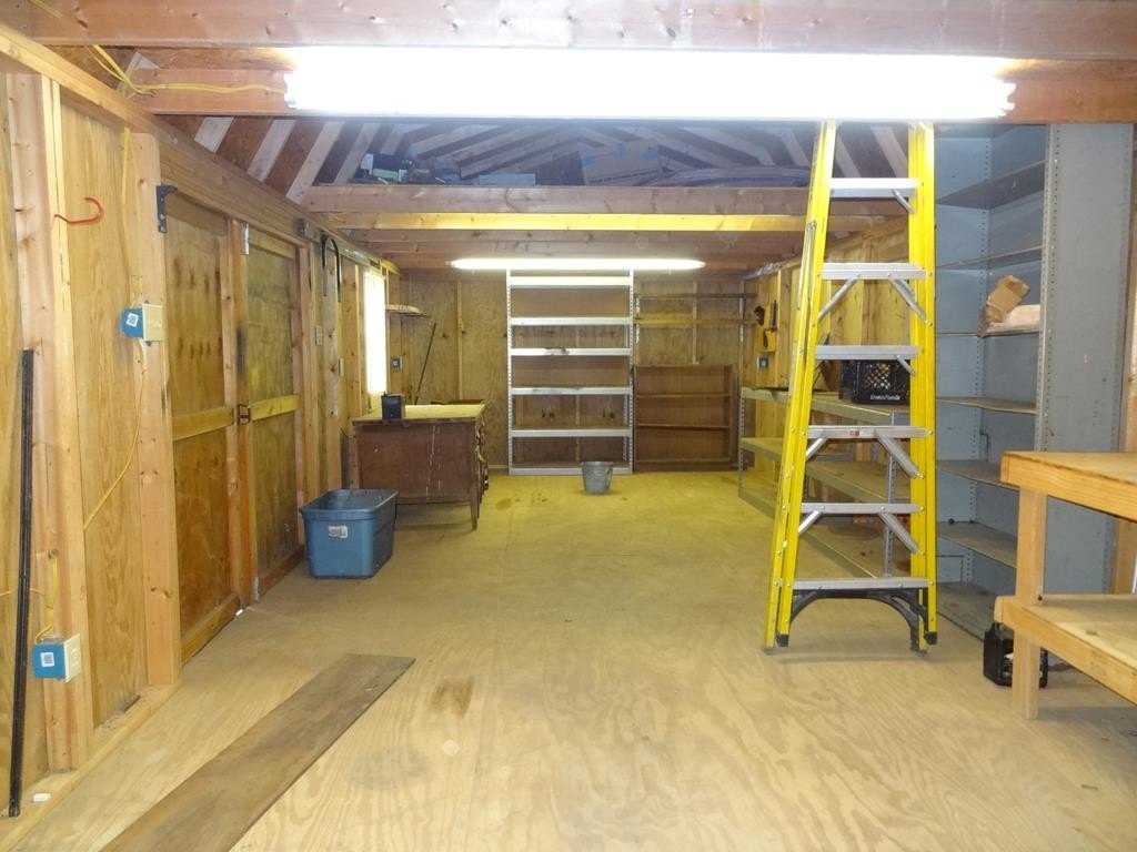 Picture 8