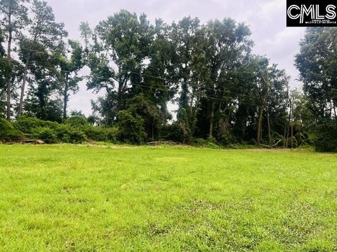 Acreage - Leesville, SC