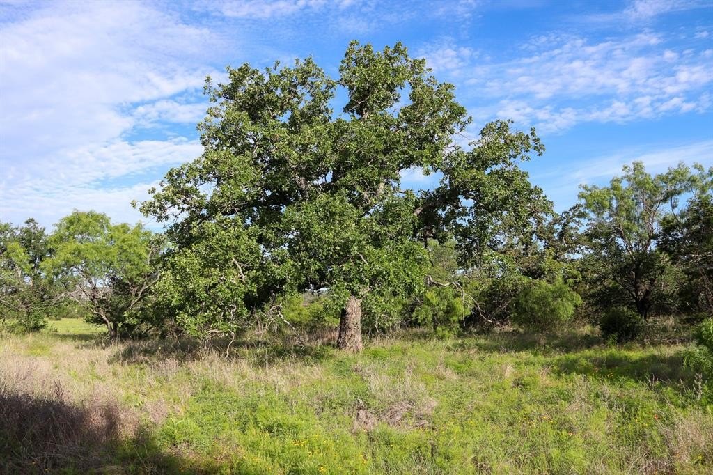 Kingsland Land with Hill Country Views