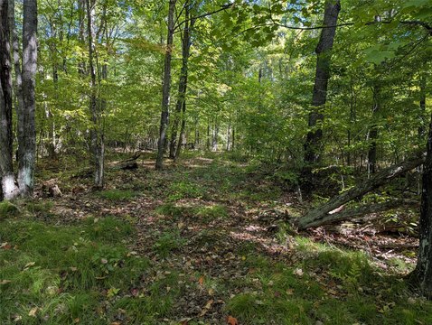 Land, Ojibwa, WI