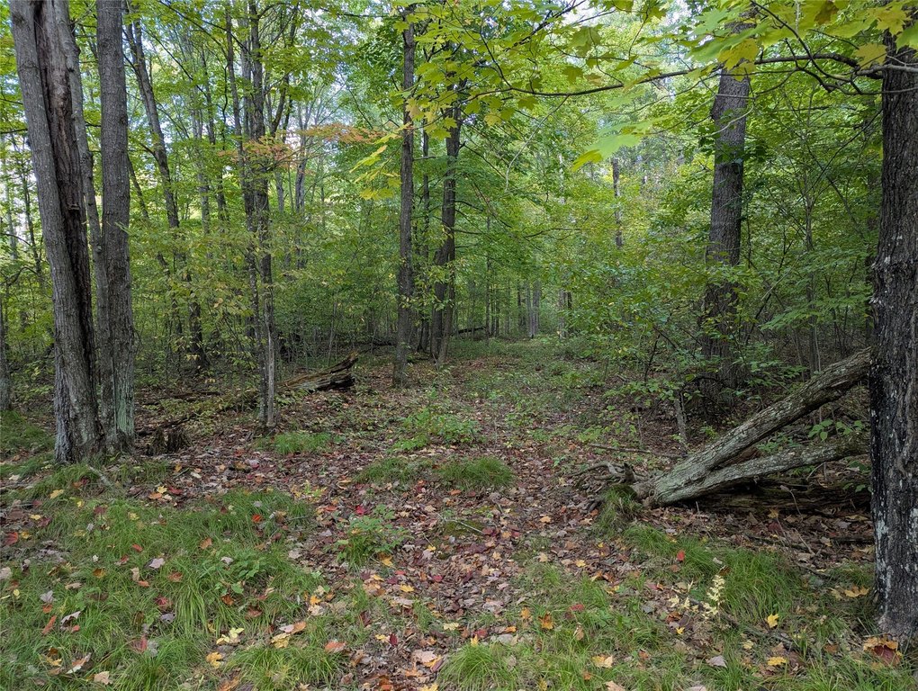 Picture 13