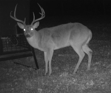 28 Acres with Workshop in Ringgold