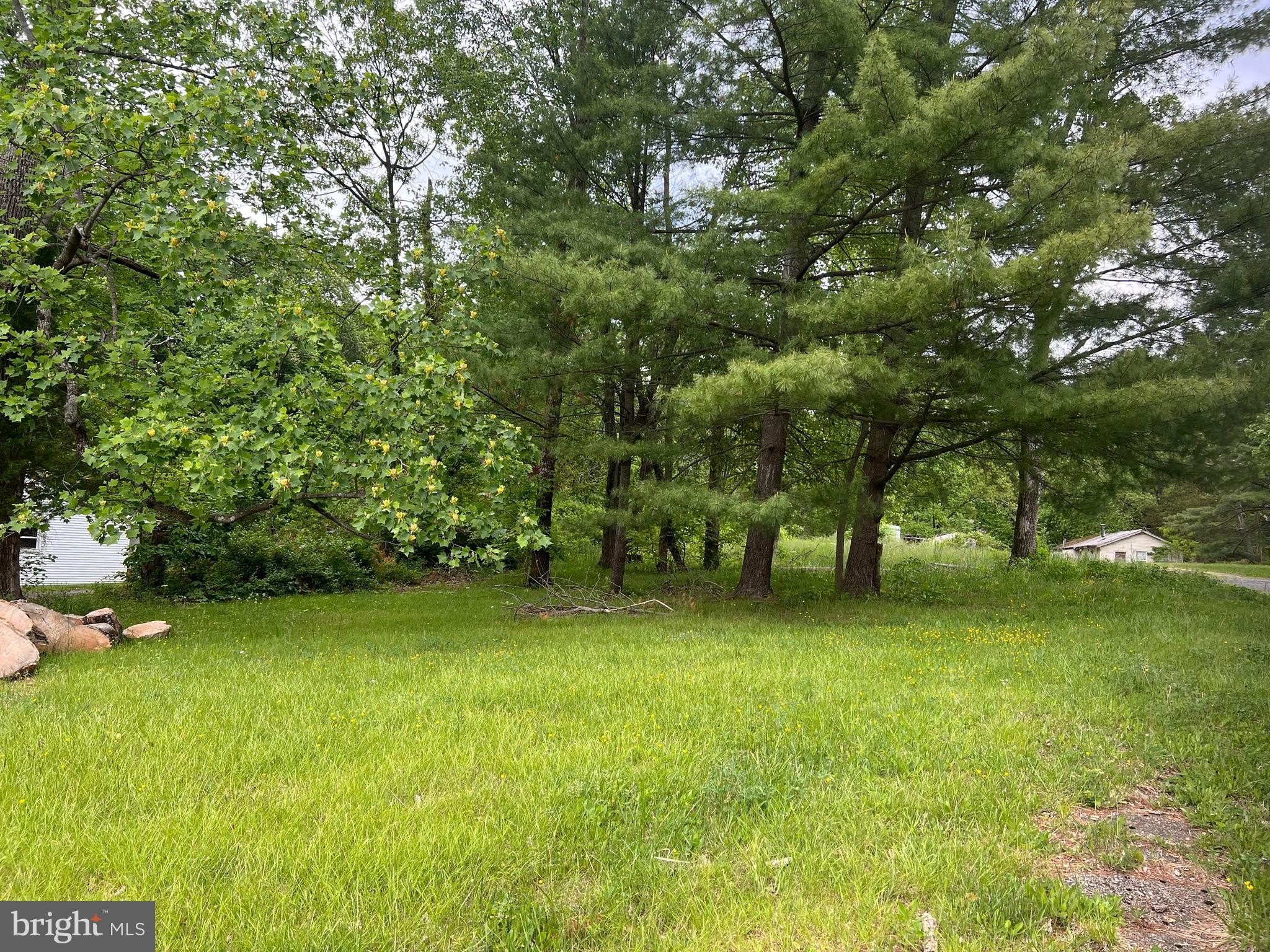 Acre Lot in Bel Air