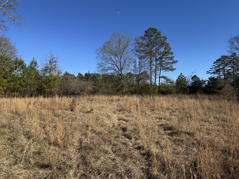 Land Near Saluda River