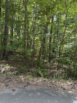 LAND - PINSON, AL