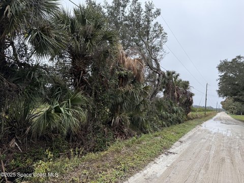 Mims, FL Buildable Land