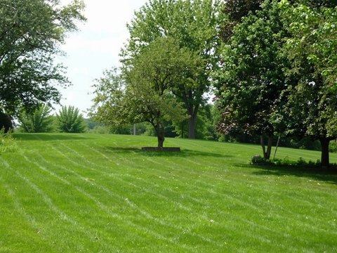 Land, Medinah, IL