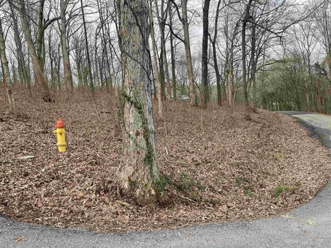 Residential Land in Russellville, AL