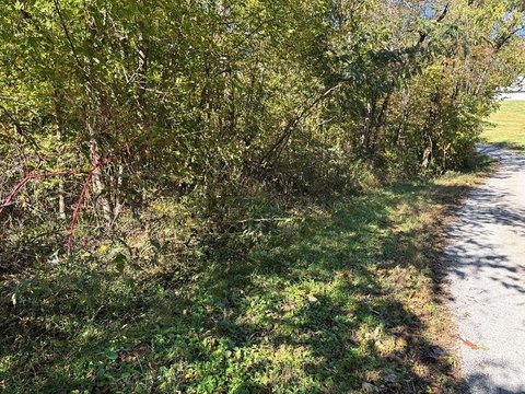 Unrestricted Land in Livingston, TN