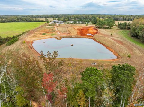 47 Acres in Elkmont, Alabama