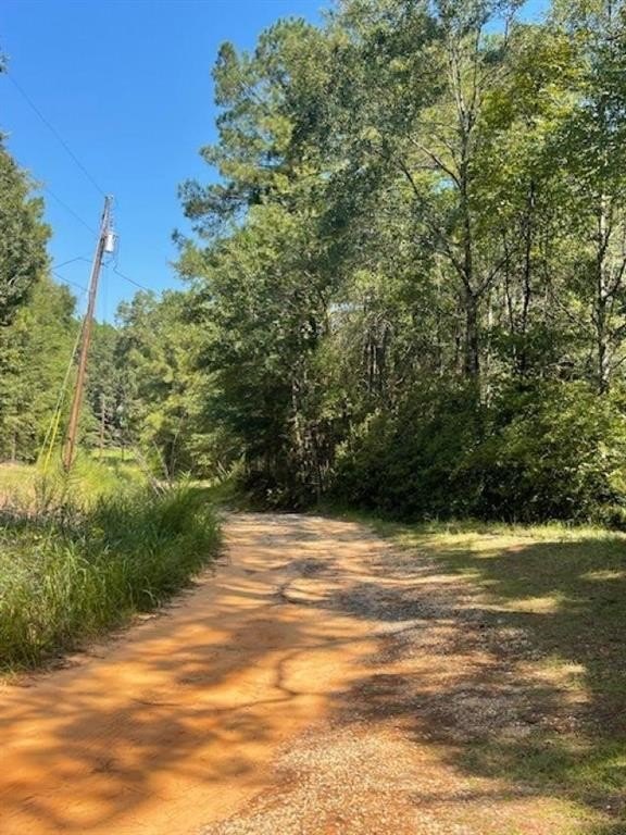 Chunchula, AL Wooded Land