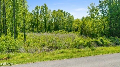 Unrestricted Land in Sweetwater, TN