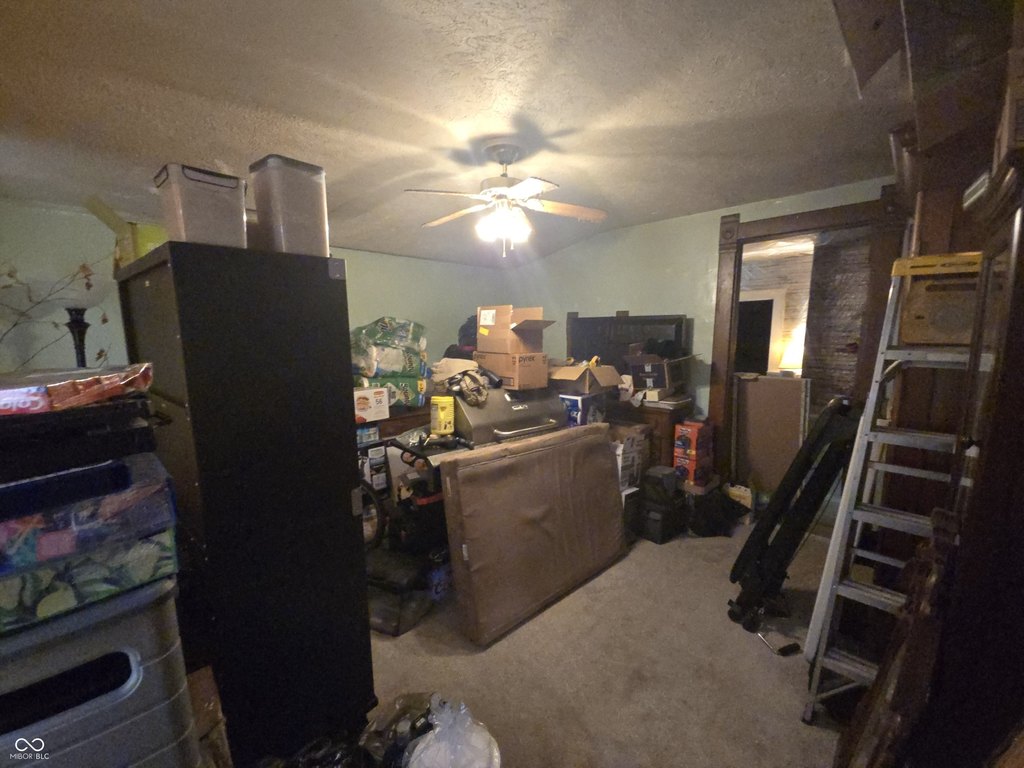 Picture 16