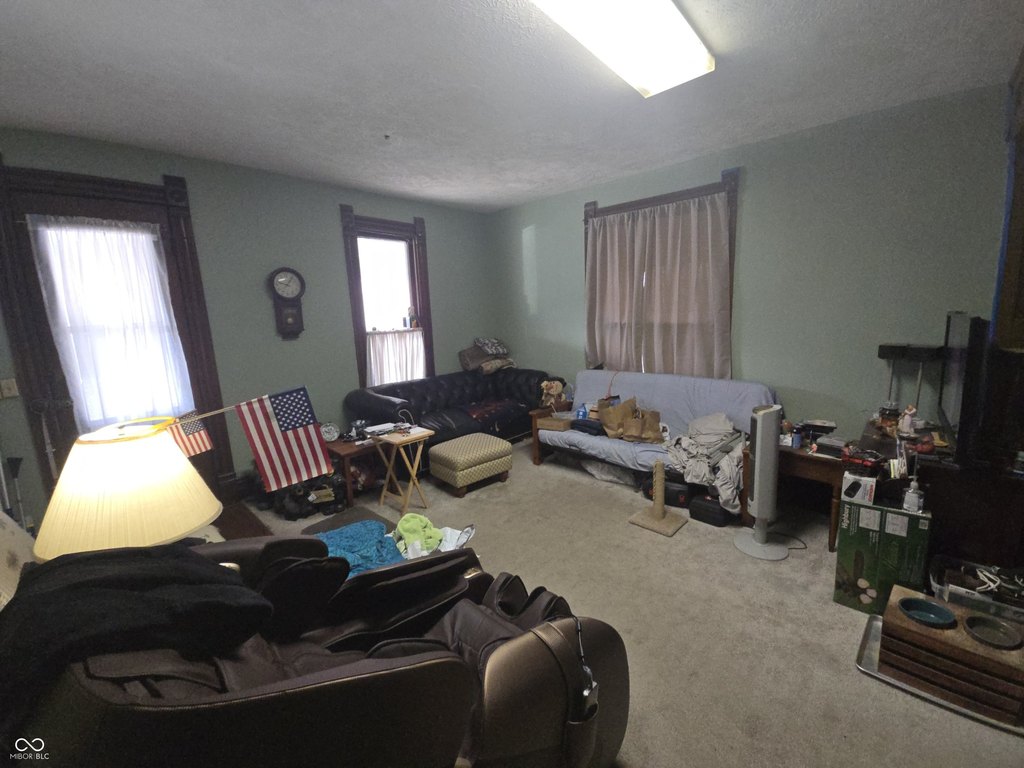 Picture 7