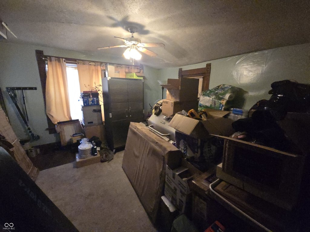 Picture 15