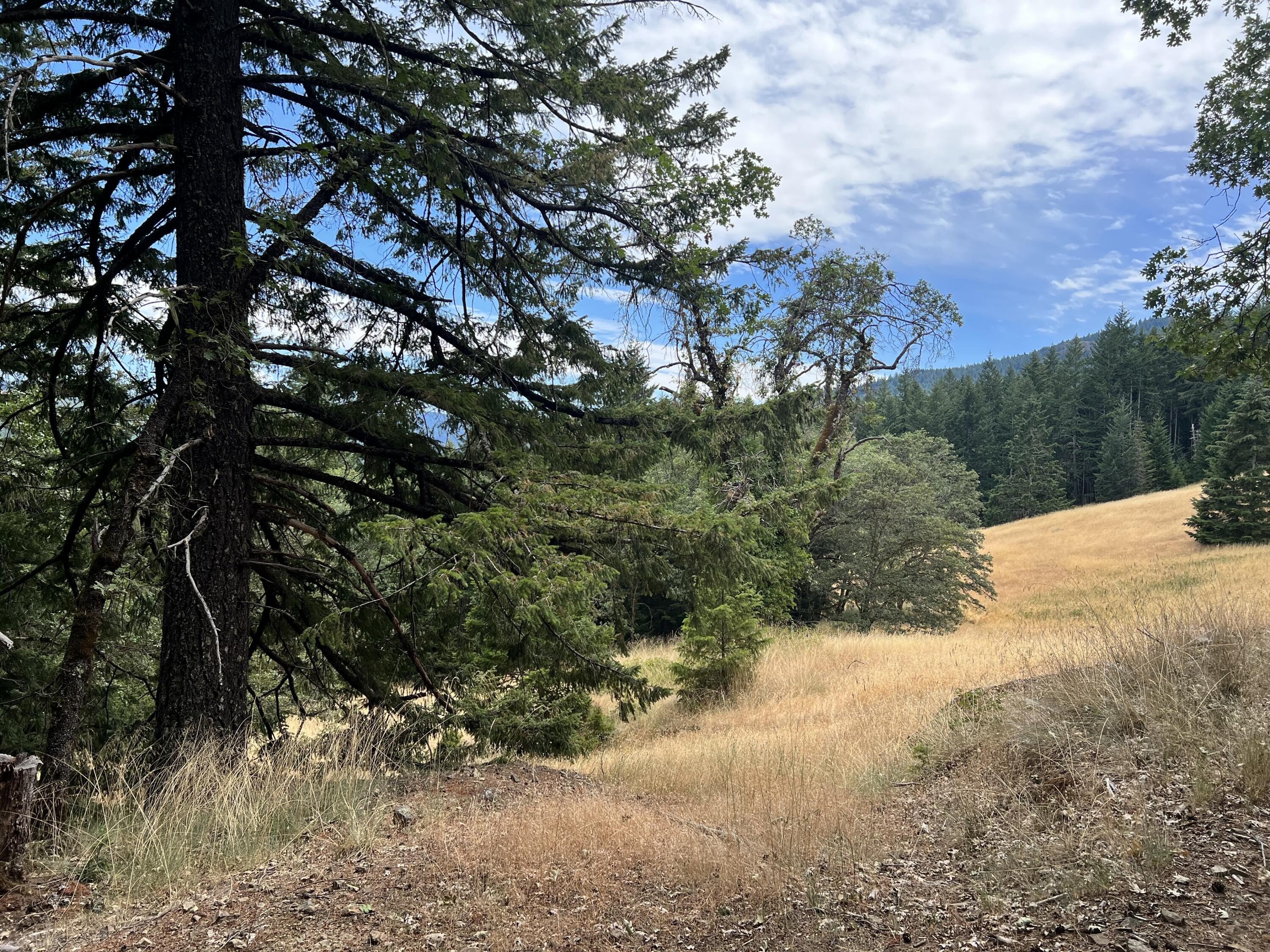 Kneeland Land with Mountain Views
