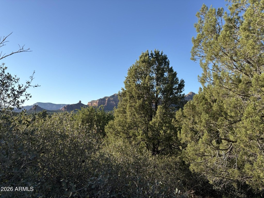 Picture 25