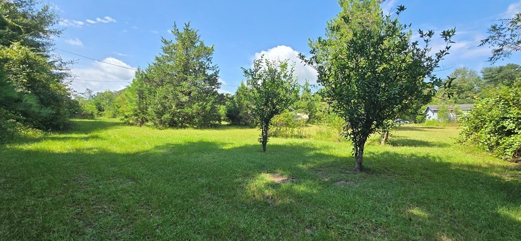 Picture 30
